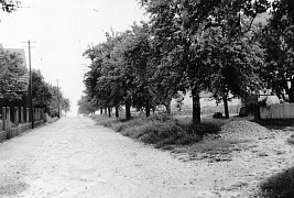 Steigstraße bevor sie eine Straße war